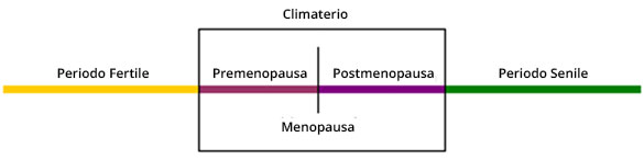 Fasi della menopausa